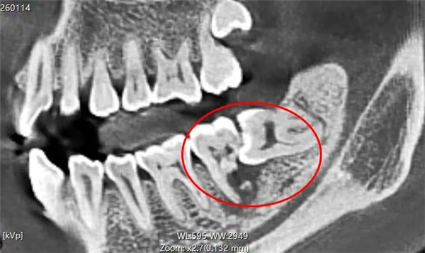 微信图片_2026-01-30_152232_231.jpg 微信图片_2026-01-30_152232_231.jpg