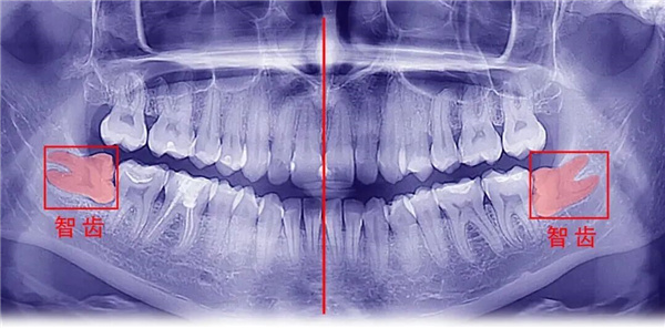 微信图片_2026-01-30_152247_967.jpg 微信图片_2026-01-30_152247_967.jpg